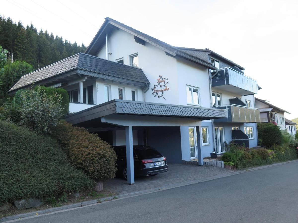 Top Fewo Mit Sommercard Winterberg Eksteriør billede